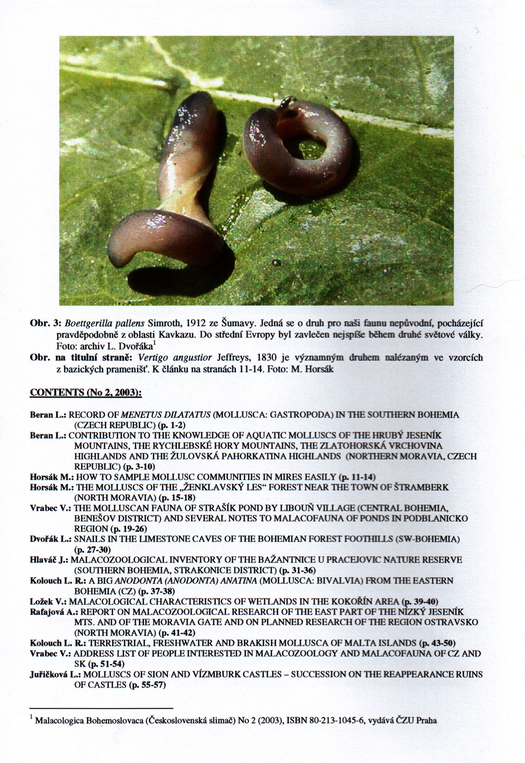 back cover back cover